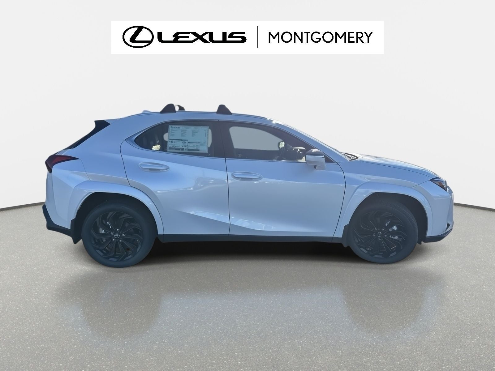 2025 Lexus UX 300h Premium