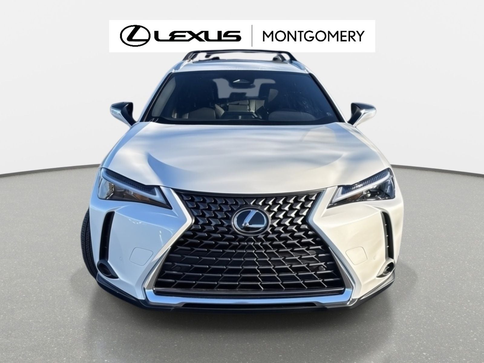 2025 Lexus UX 300h Premium