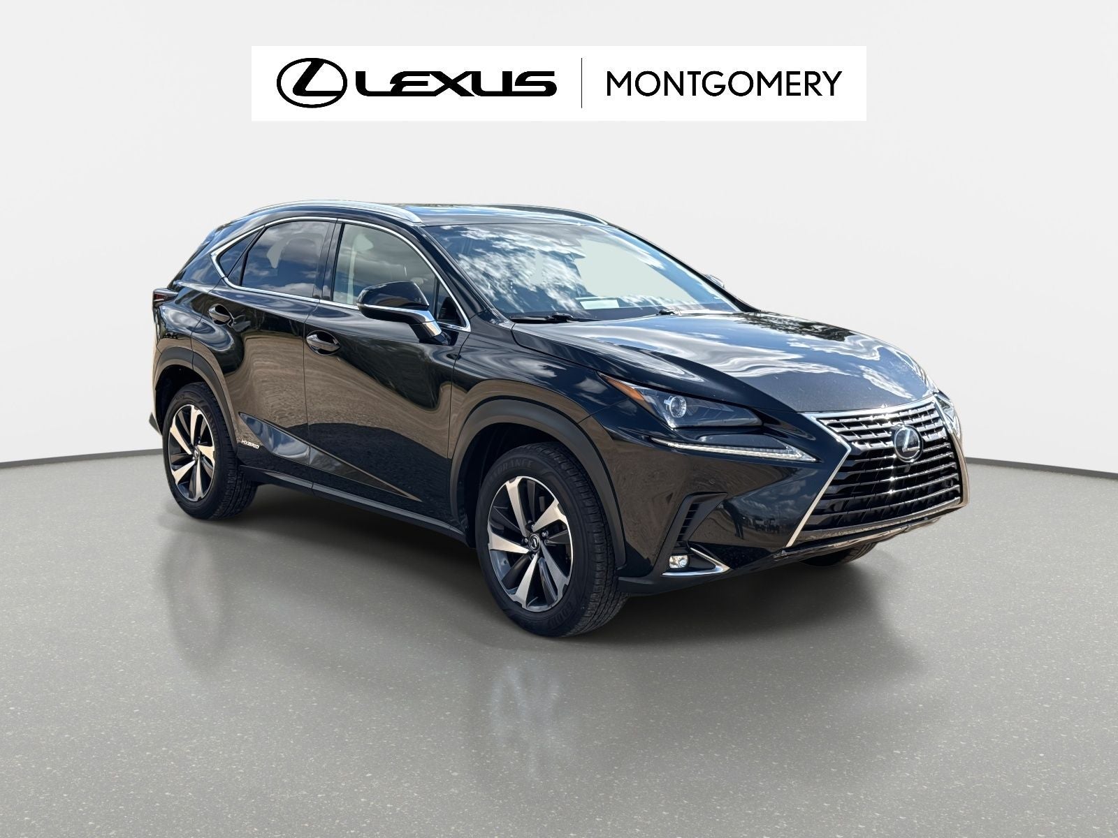2018 Lexus NX 300h