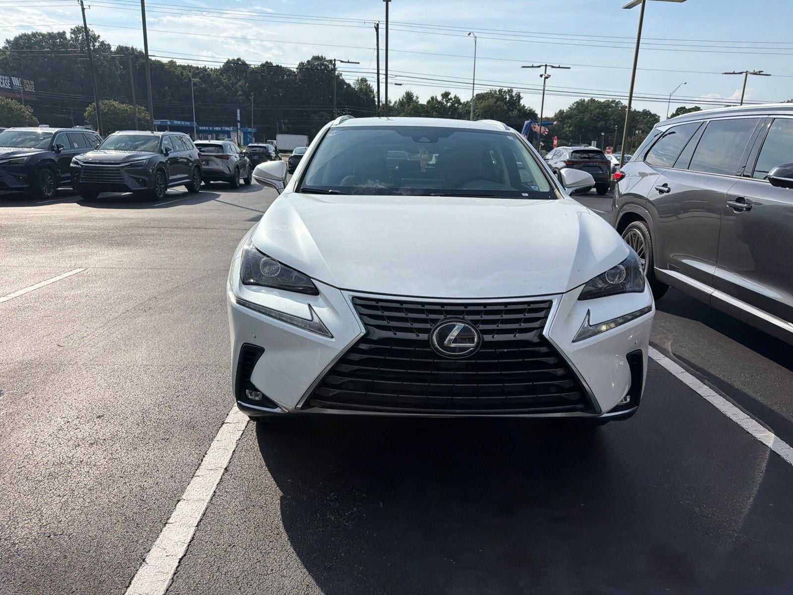 2021 Lexus NX 300h