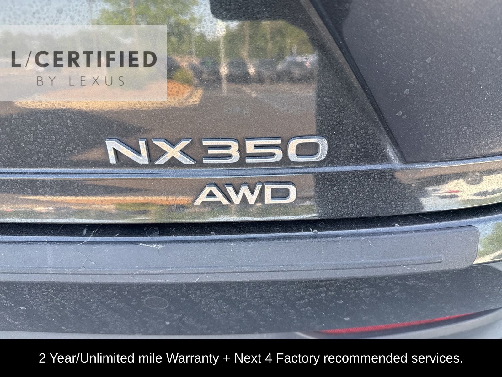 2024 Lexus NX 350 Premium