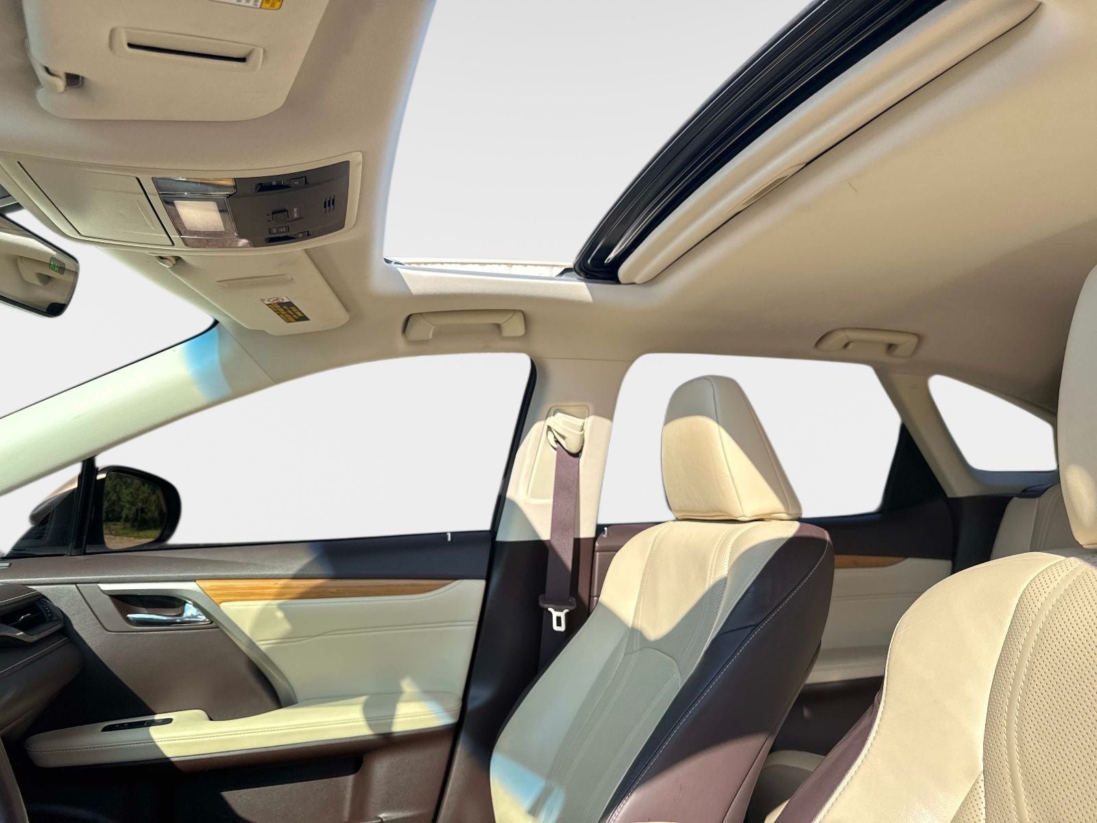 2019 Lexus RX 350L