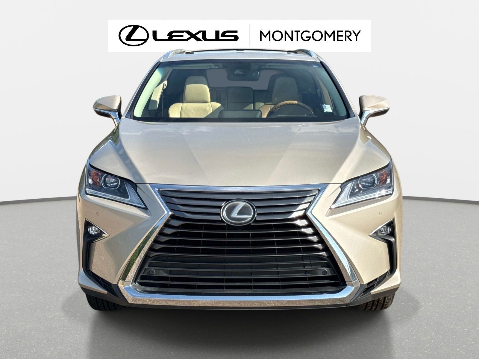 2019 Lexus RX 350L