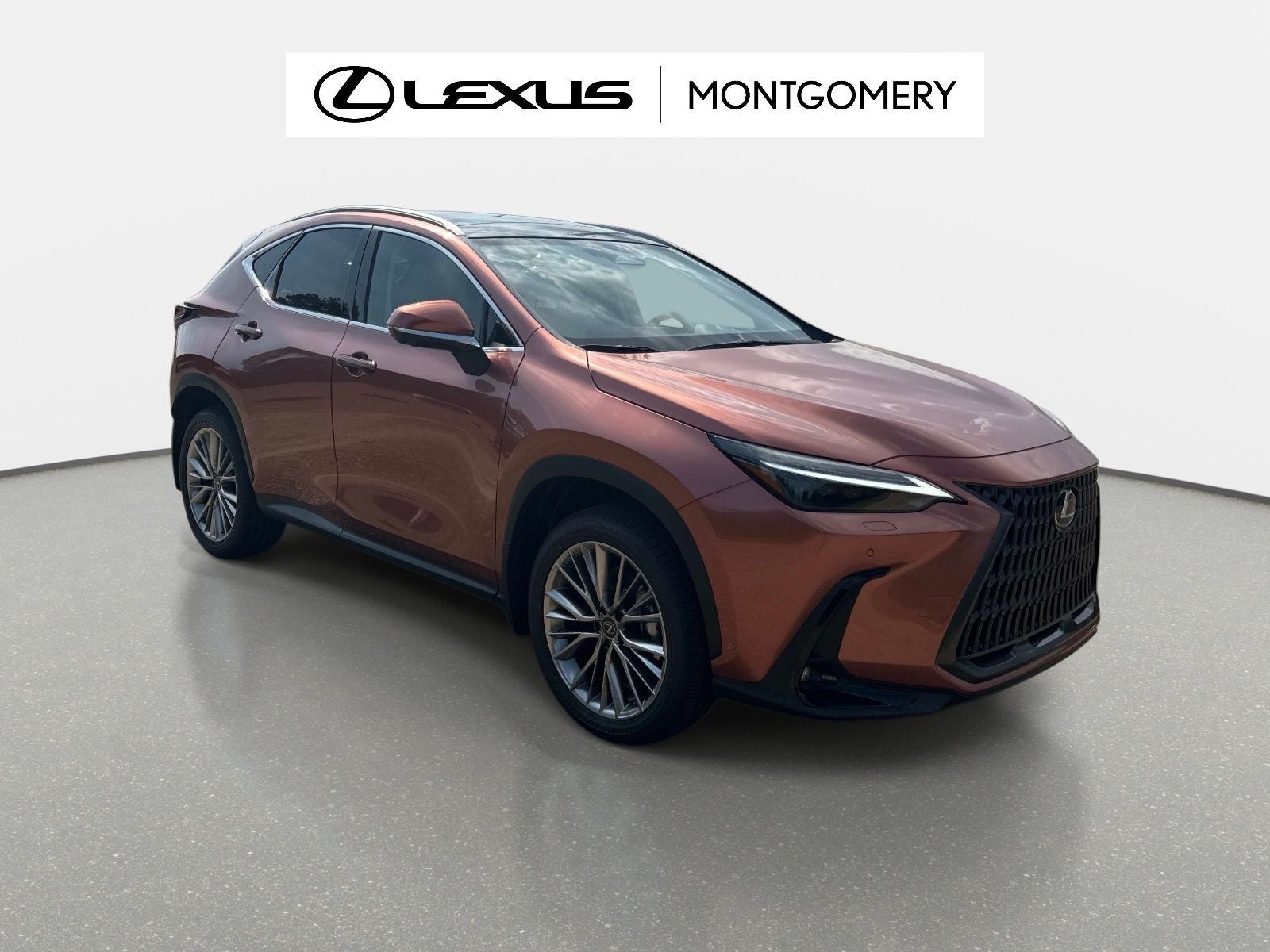 2026 Lexus NX 350 Luxury