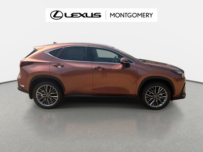 2026 Lexus NX 350 Luxury