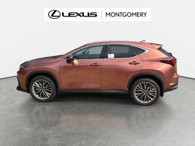 2026 Lexus NX 350 Luxury