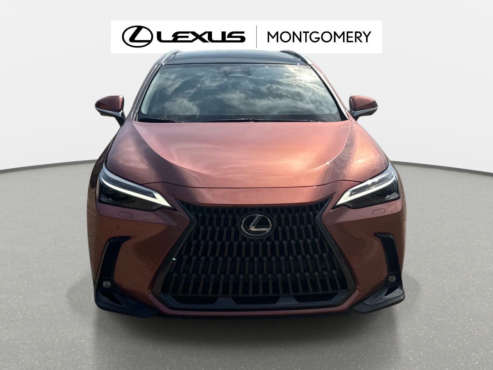 2026 Lexus NX 350 Luxury