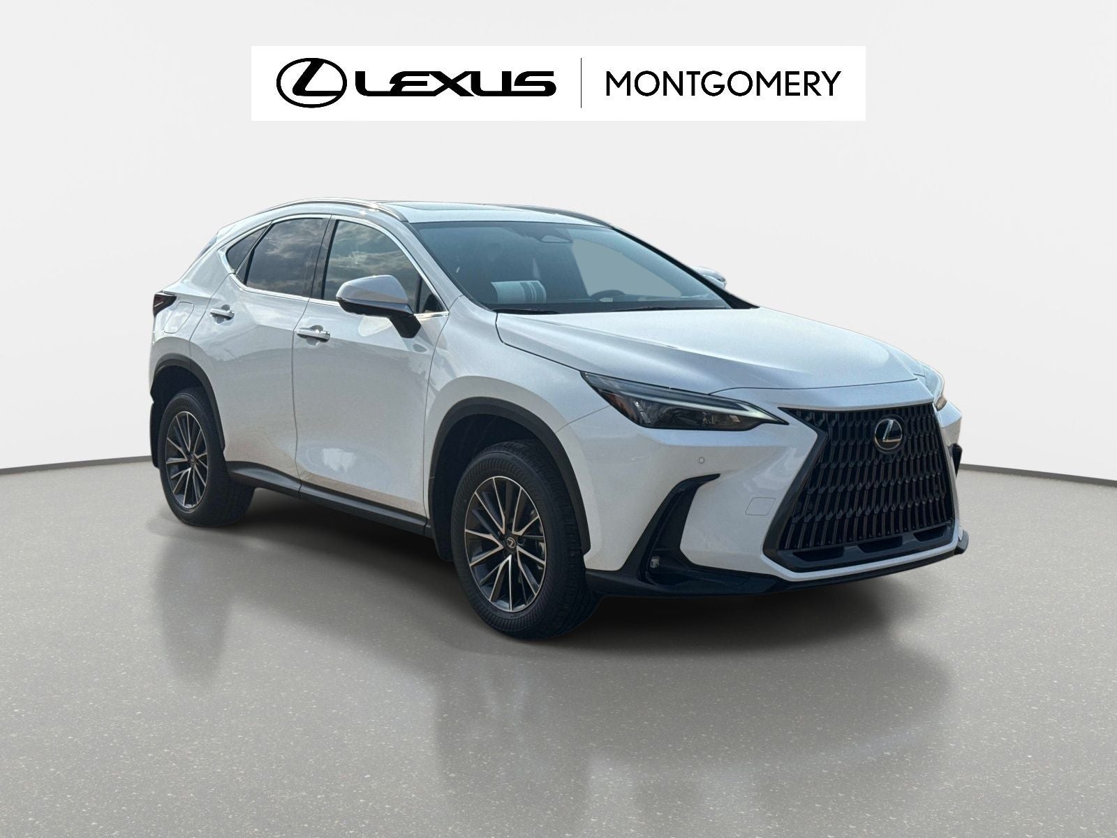 2026 Lexus NX 450h+ Premium