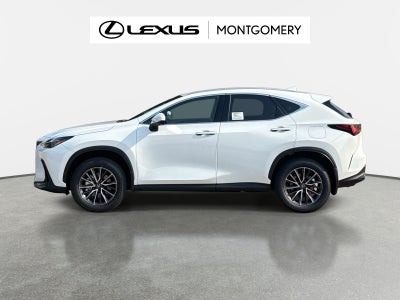 2026 Lexus NX 450h+ Premium