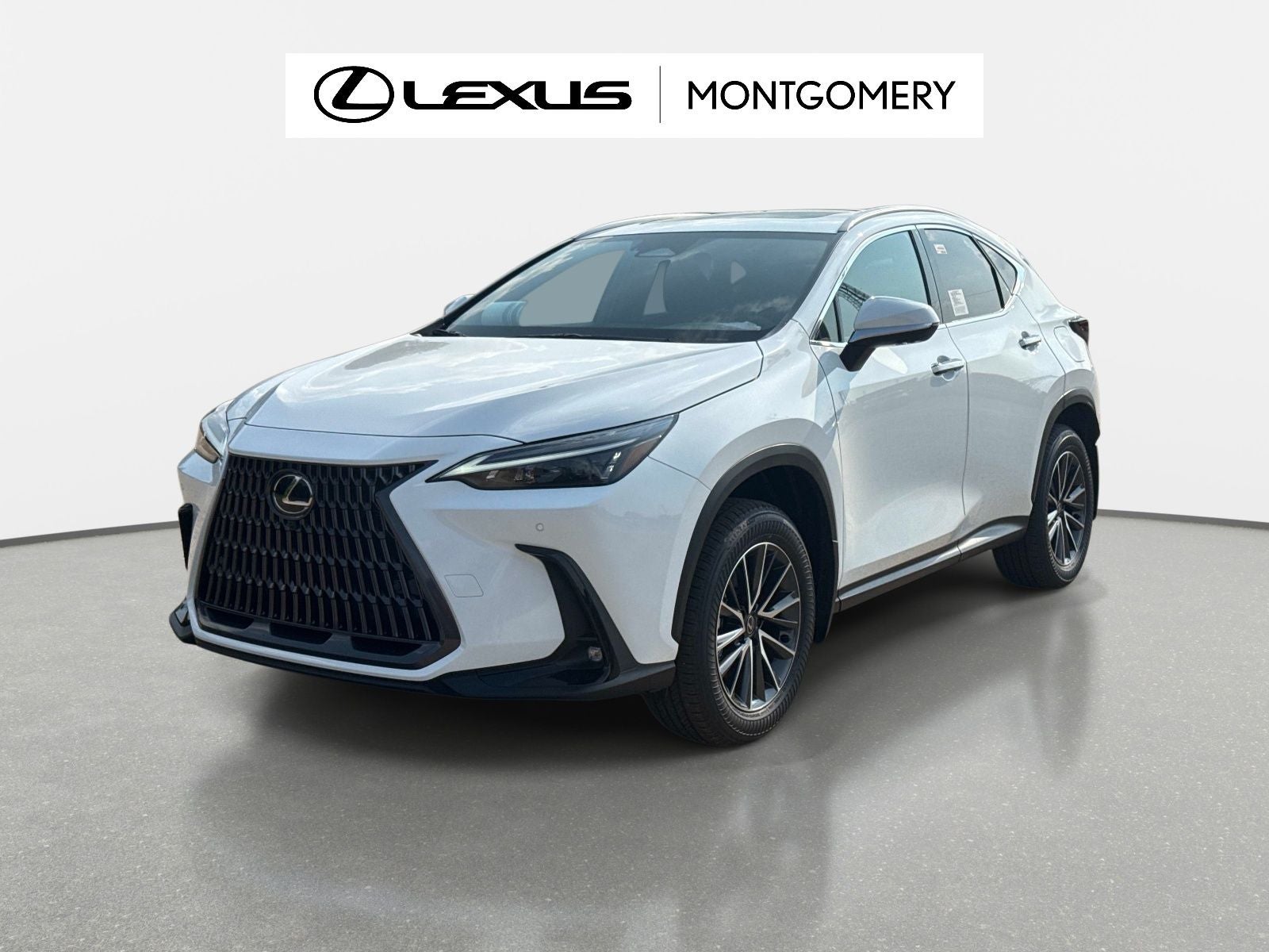 2026 Lexus NX 450h+ Premium