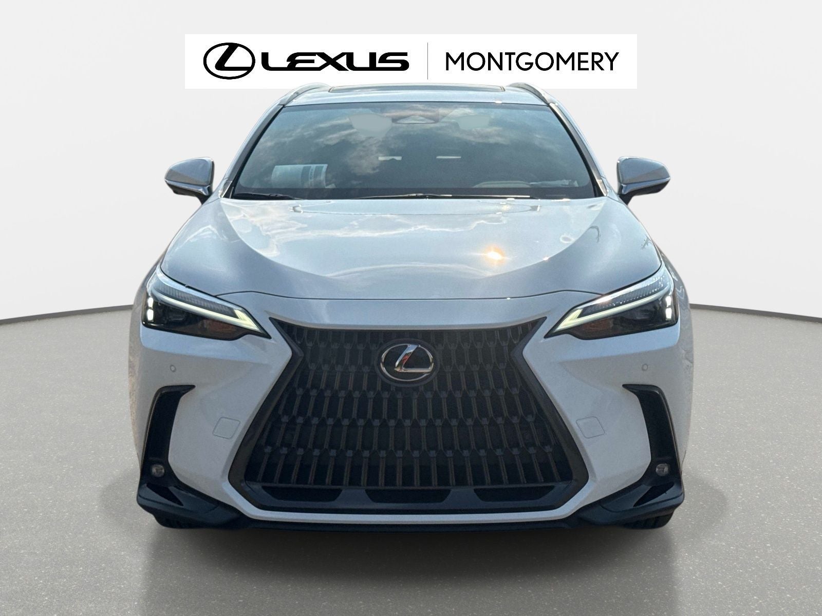 2026 Lexus NX 450h+ Premium