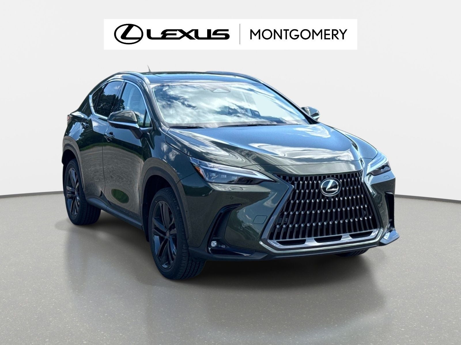 2026 Lexus NX 450h+ Luxury