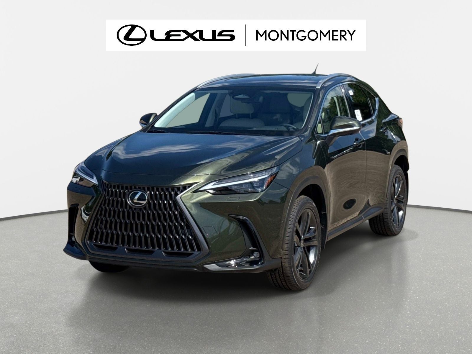 2026 Lexus NX 450h+ Luxury