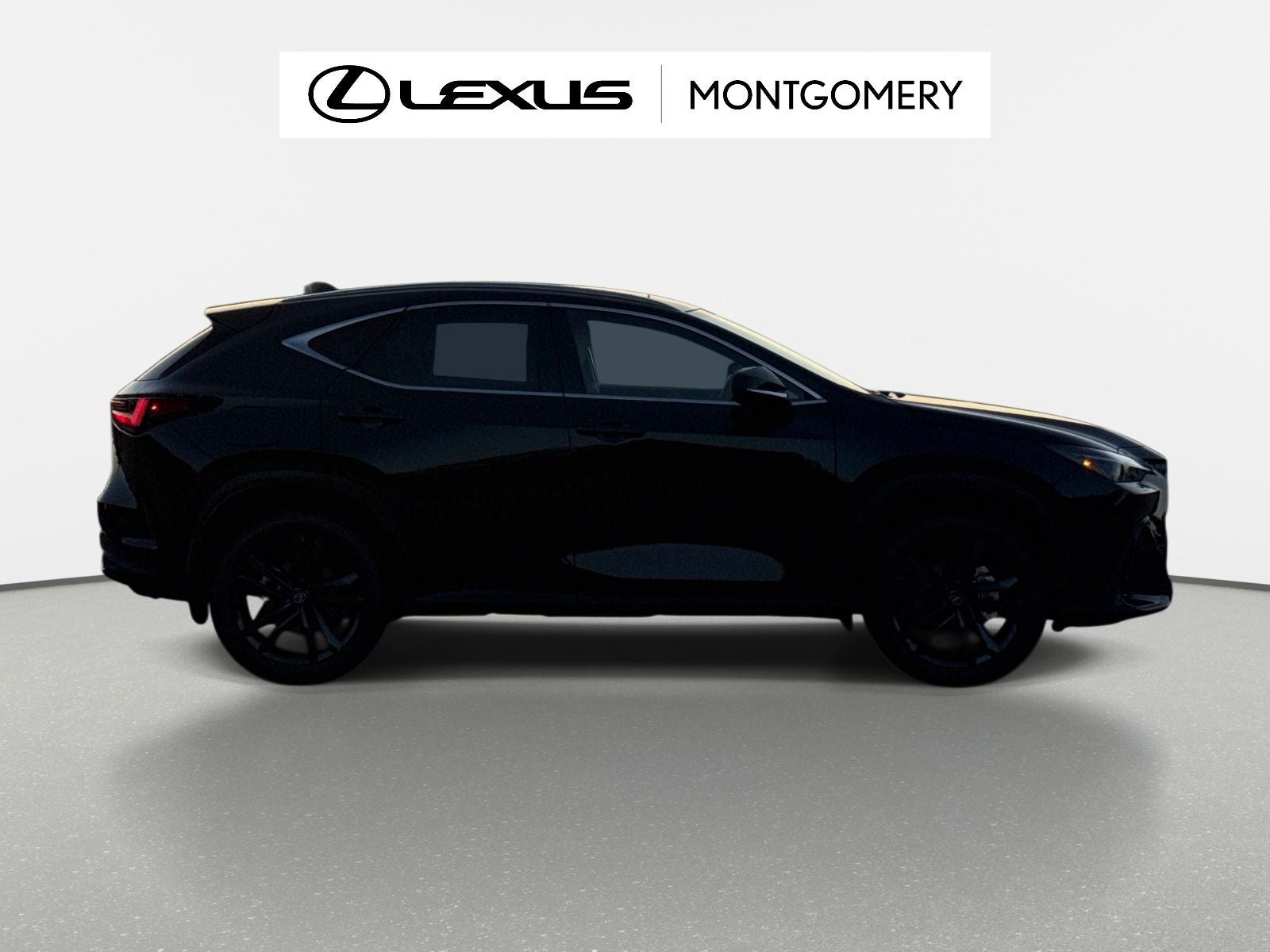 2026 Lexus NX 450h+ Luxury