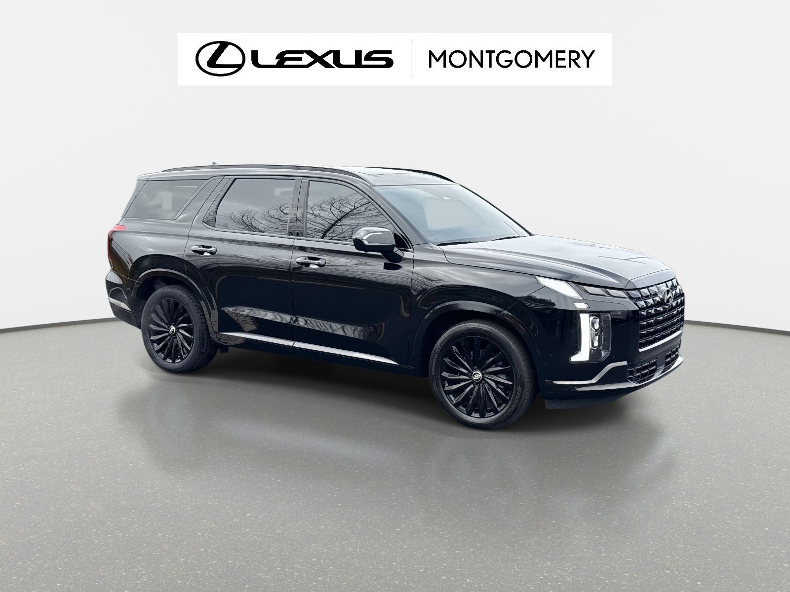 2024 Hyundai Palisade Calligraphy Night Edition