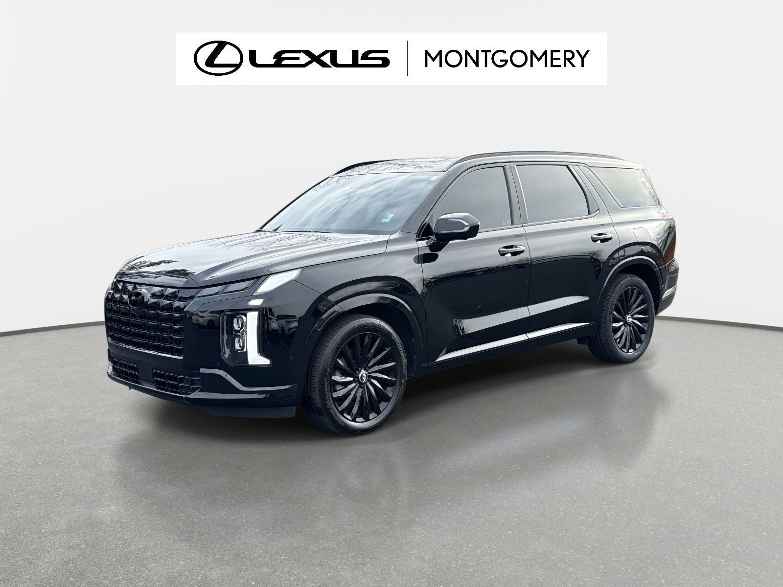 2024 Hyundai Palisade Calligraphy Night Edition